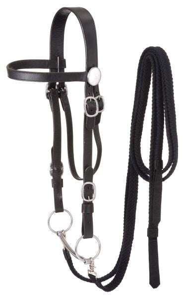 Royal King Draft Headstall Set