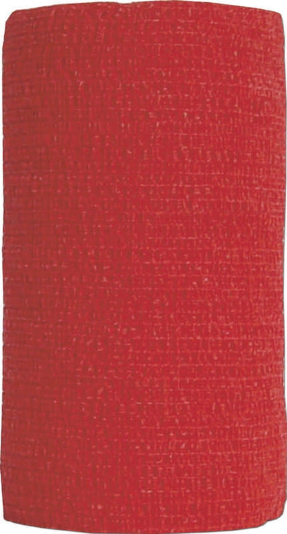 5-108957.jpg