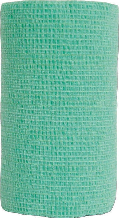 5-108969.jpg