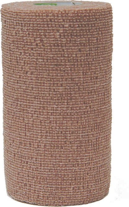 5-108970.jpg