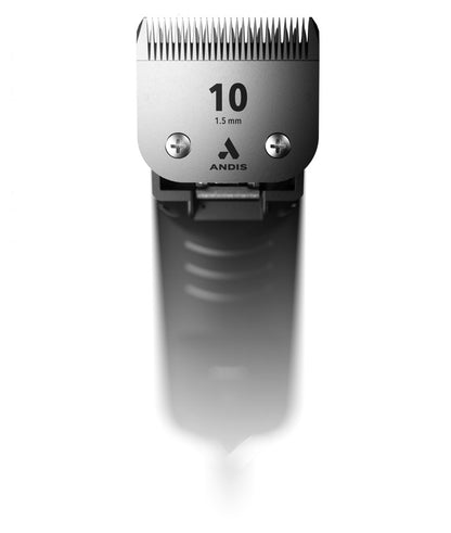 5-109036-d.jpg