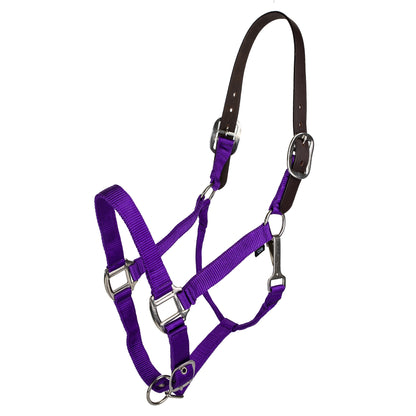 Ride It Forward: Gatsby Classic Nylon Breakaway Halter with Snap - BUY 1 GIVE 1 Program