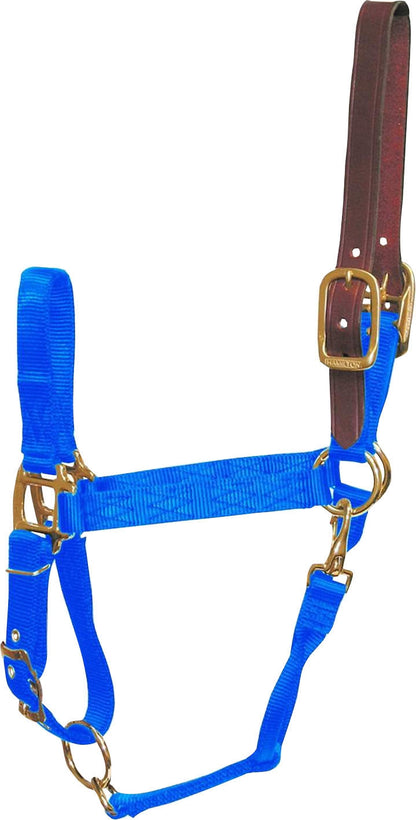 5-145275-blue.jpg