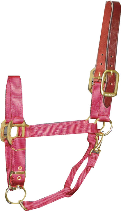 5-145289-red.jpg