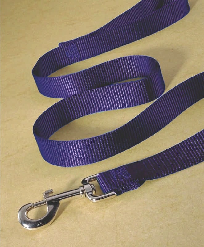 Nylon Lead With Snap For Dogs 24 x 16.25 x 8 Mango
