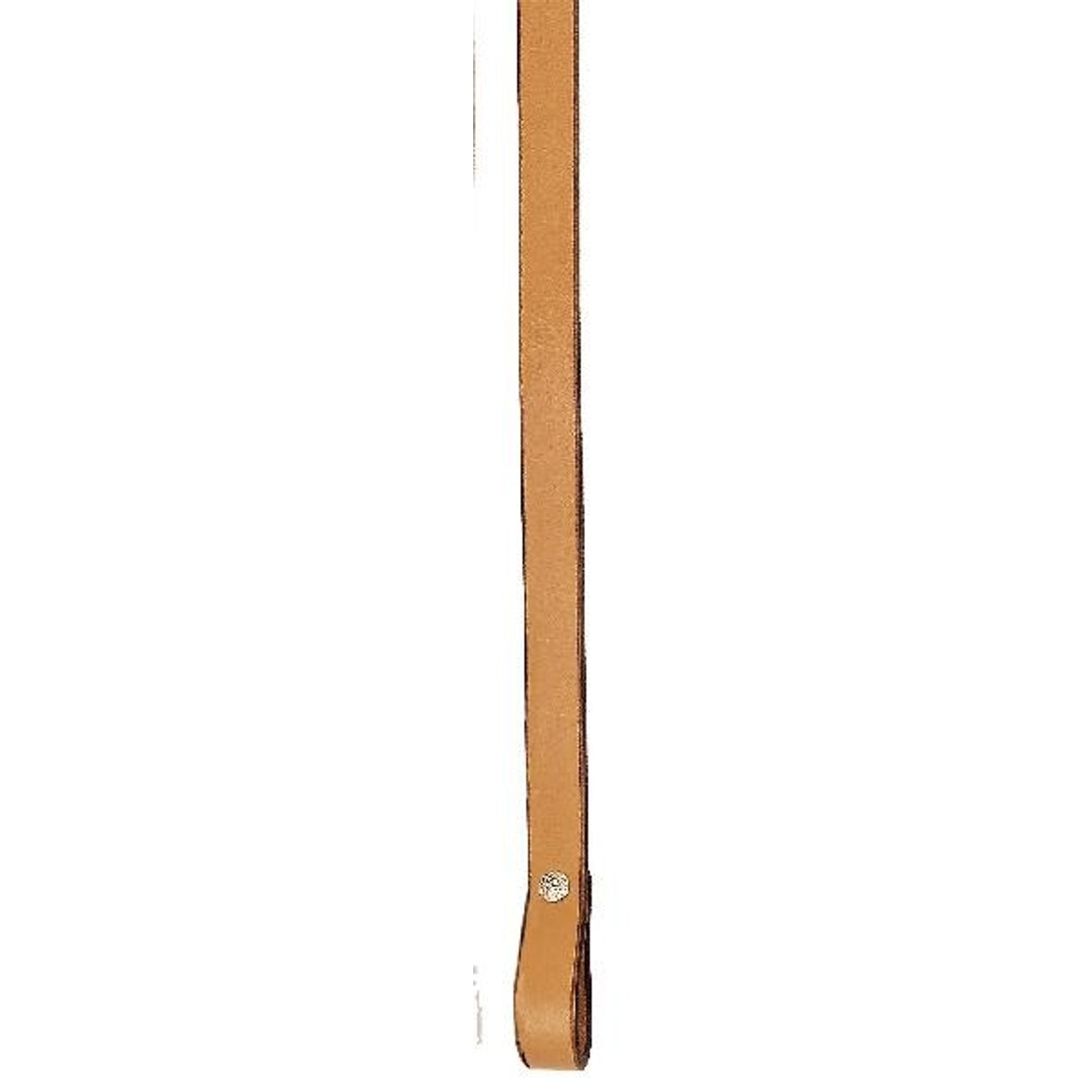5-169951.jpg