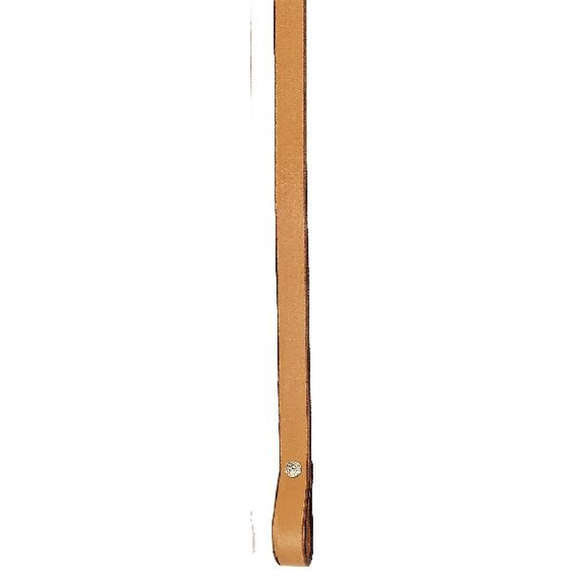5-169951.jpg