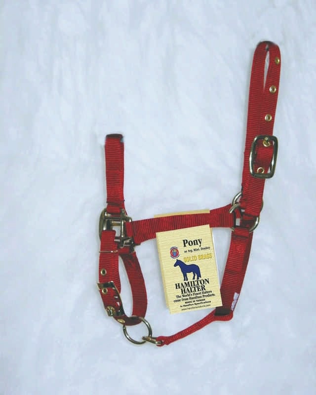 Nylon Chin Halter For Ponies Pony Brn