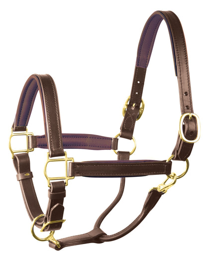 Perri's 3/4" Padded Leather Halter