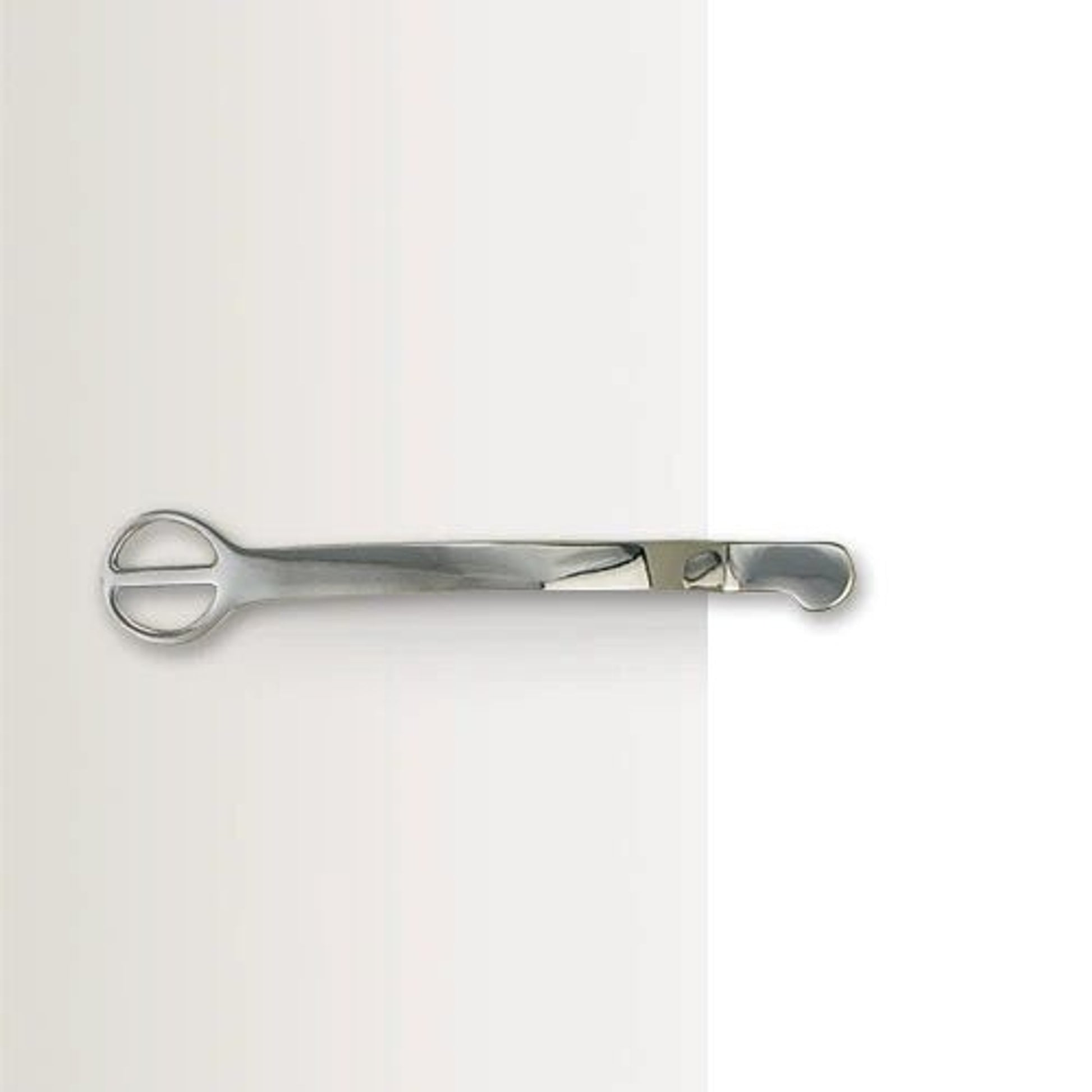 Centaur Stainless steel Dummy Spurs Ladies
