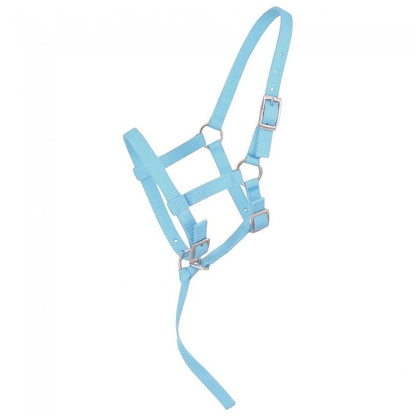 5-245850-lightblue.jpg