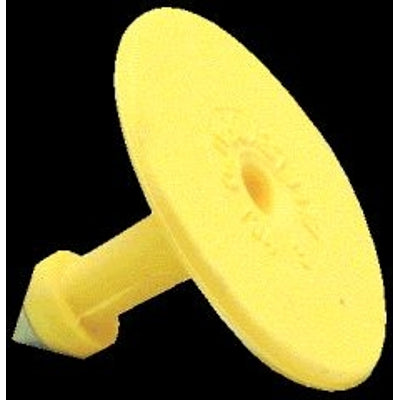 5-255461.jpg