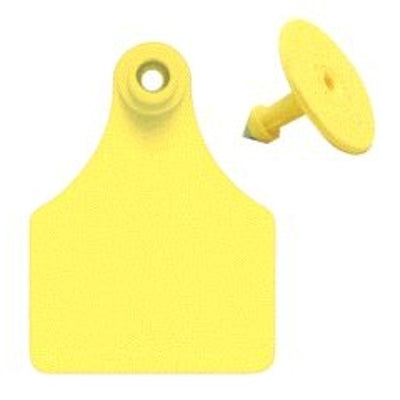 5-255469.jpg