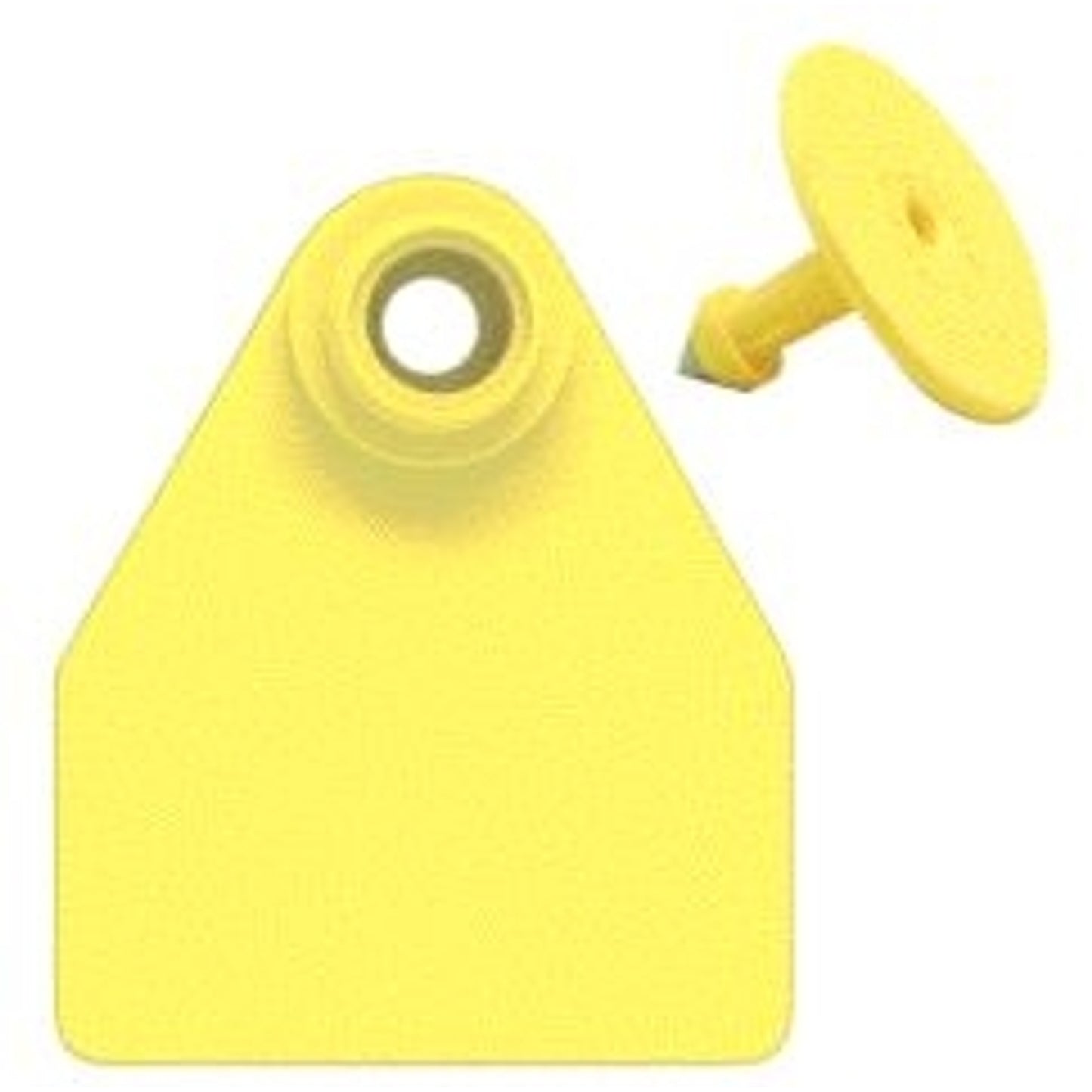 5-255482.jpg