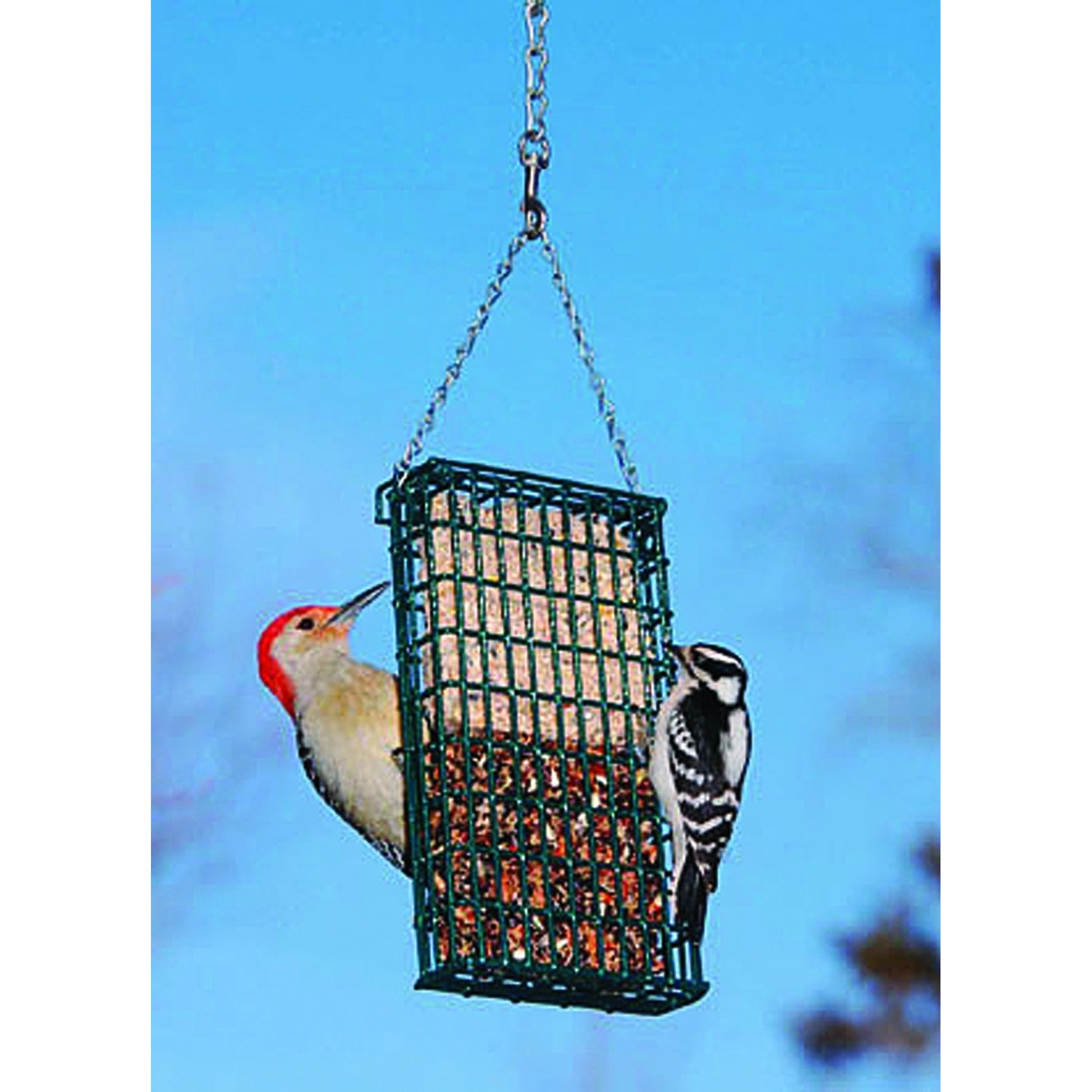 Droll Yankee Double Suet Cake Feeder