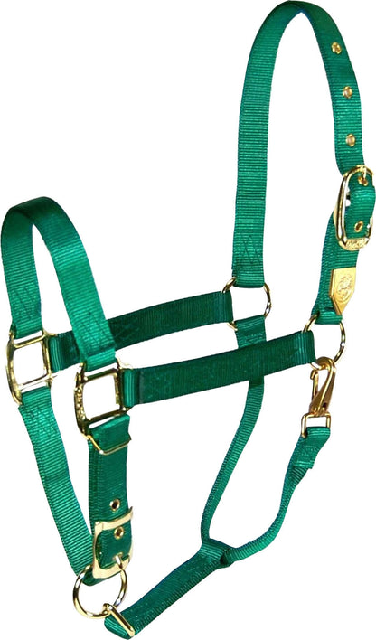 5-259642-green.jpg