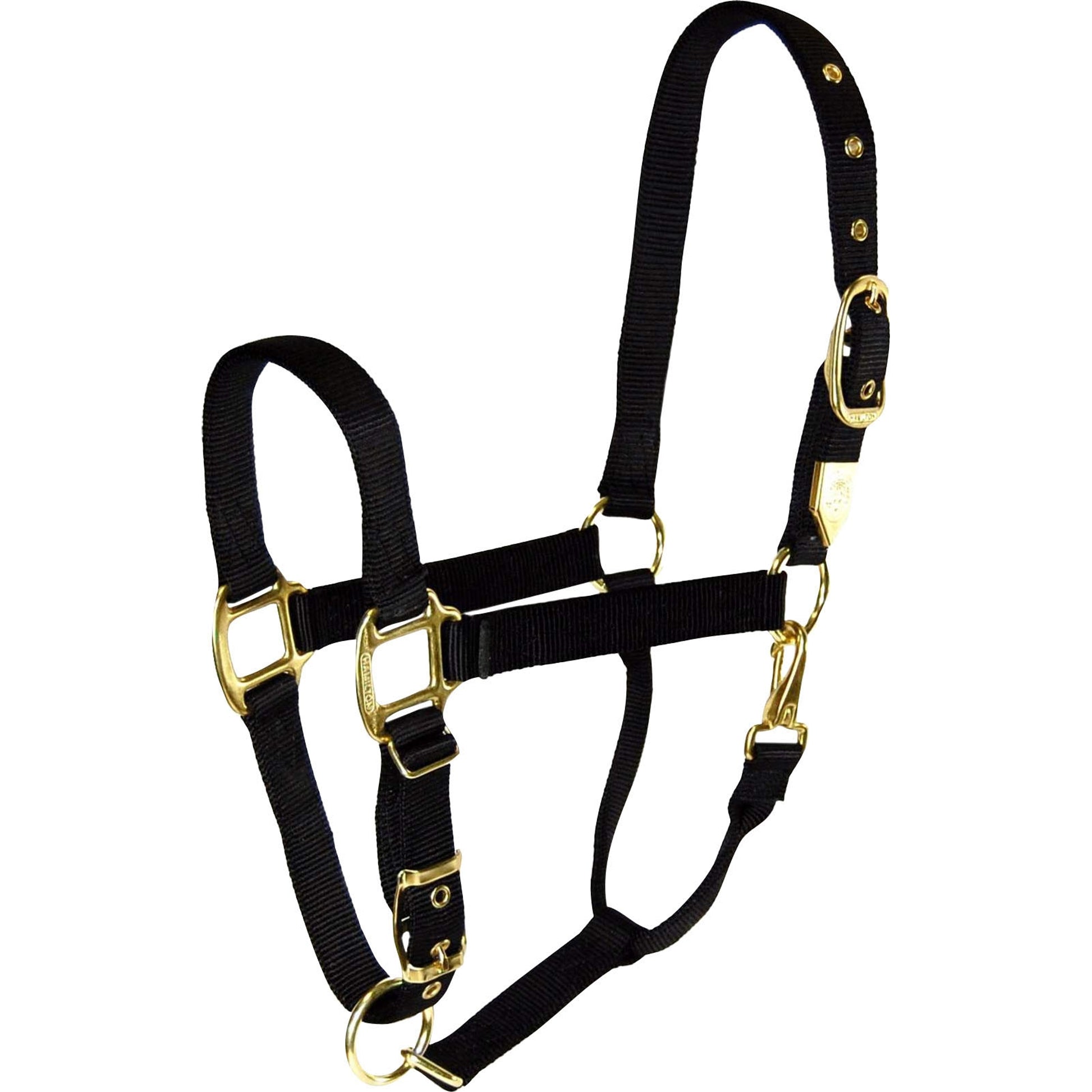 5-259648-black.jpg