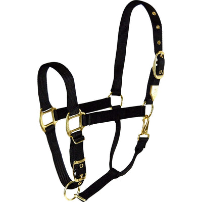 5-259648-black.jpg