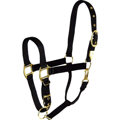 5-259648-black.jpg