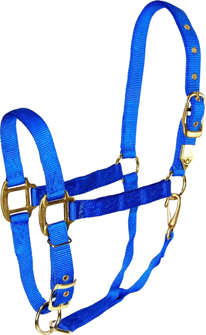 5-259649-blue.jpg