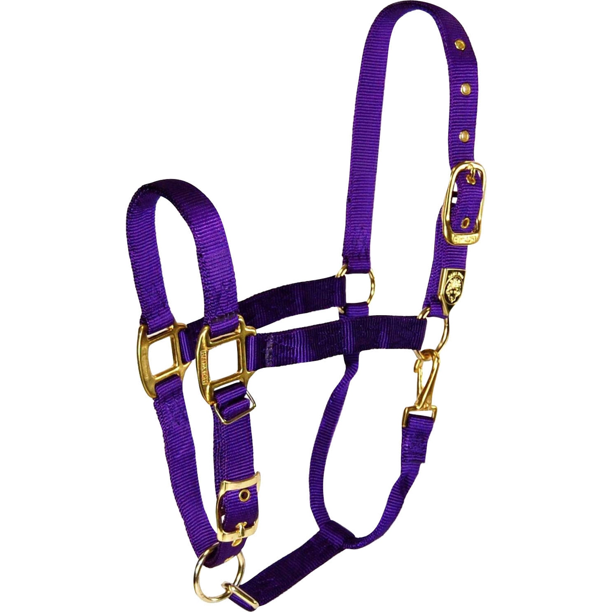 5-259668-purple.jpg