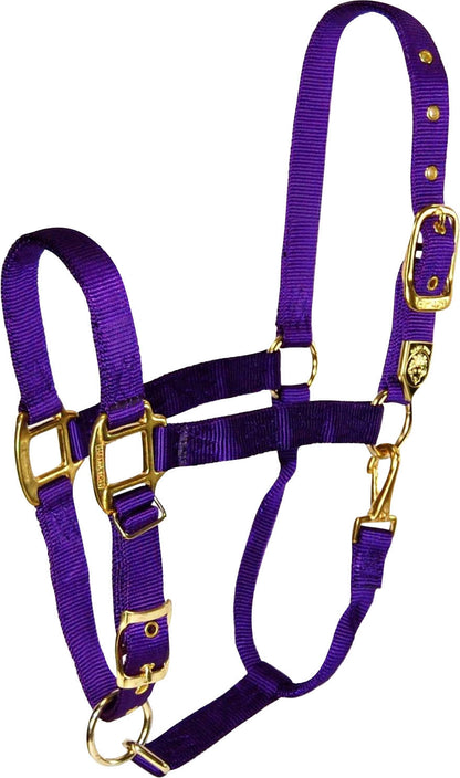 5-259668-purple.jpg