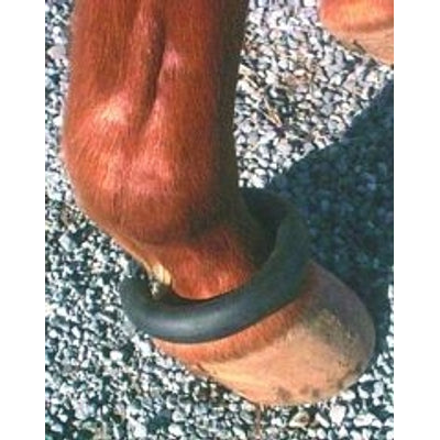5-260565.jpg