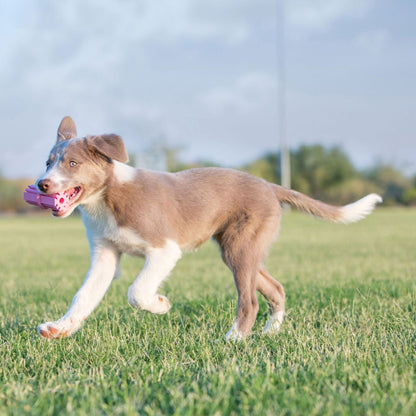 KONG Puppy Teeth Stick