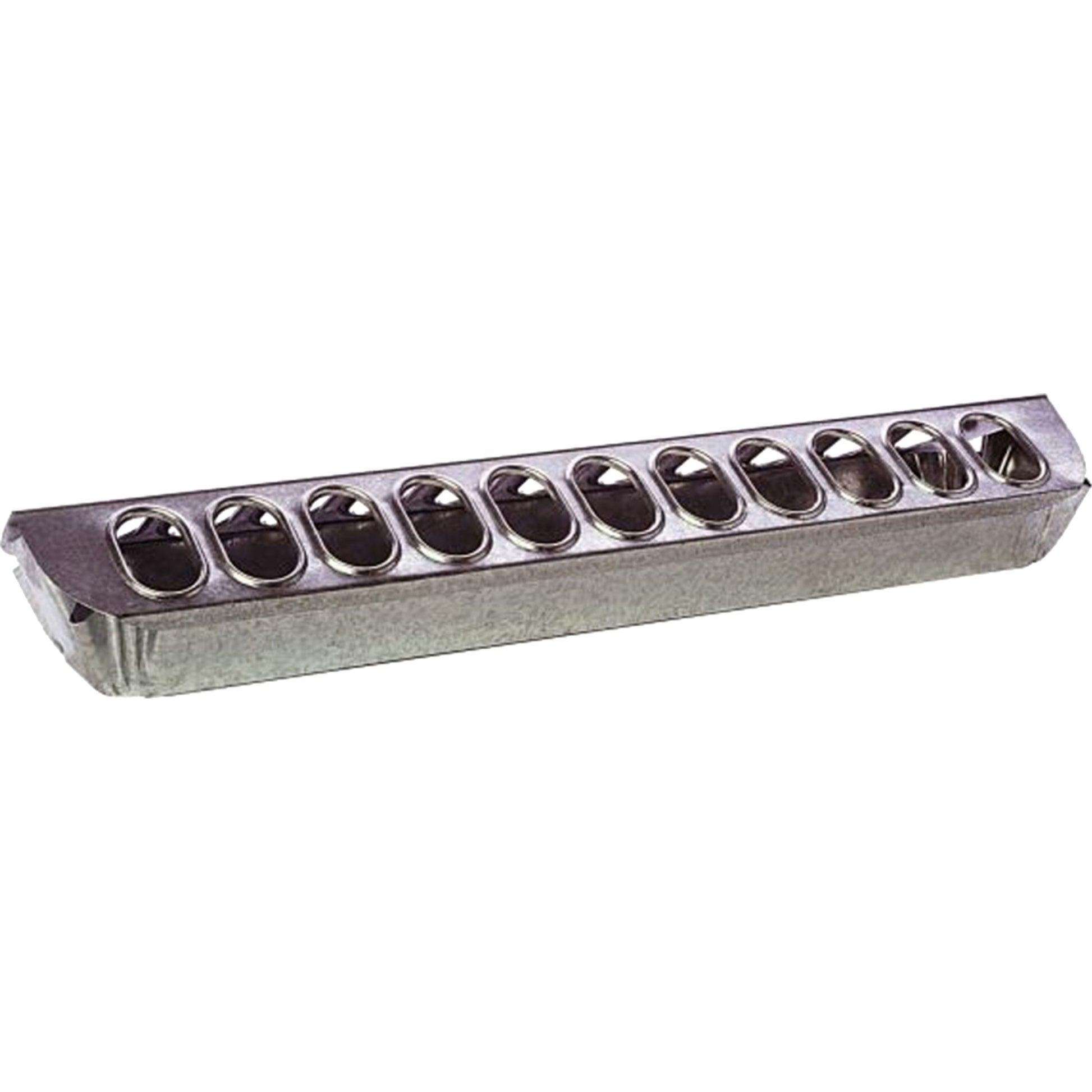 5-262089.jpg