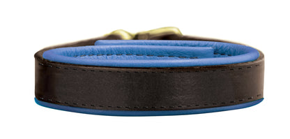 5-294367-blue.jpg