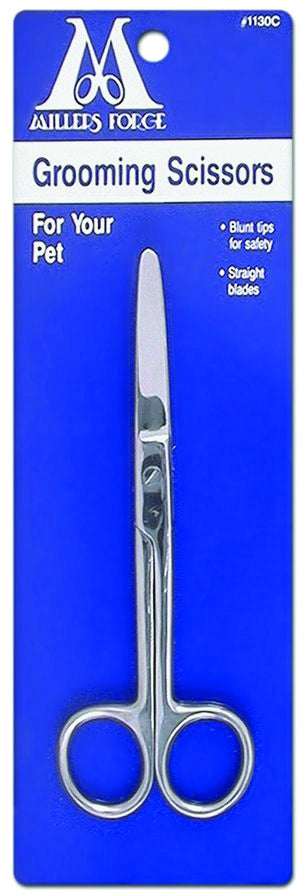 5-305579.jpg