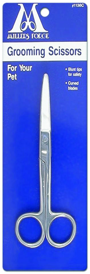 5-305580.jpg