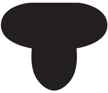 Cashel Race Exercise Shaped Cushion Pad 1 Blk