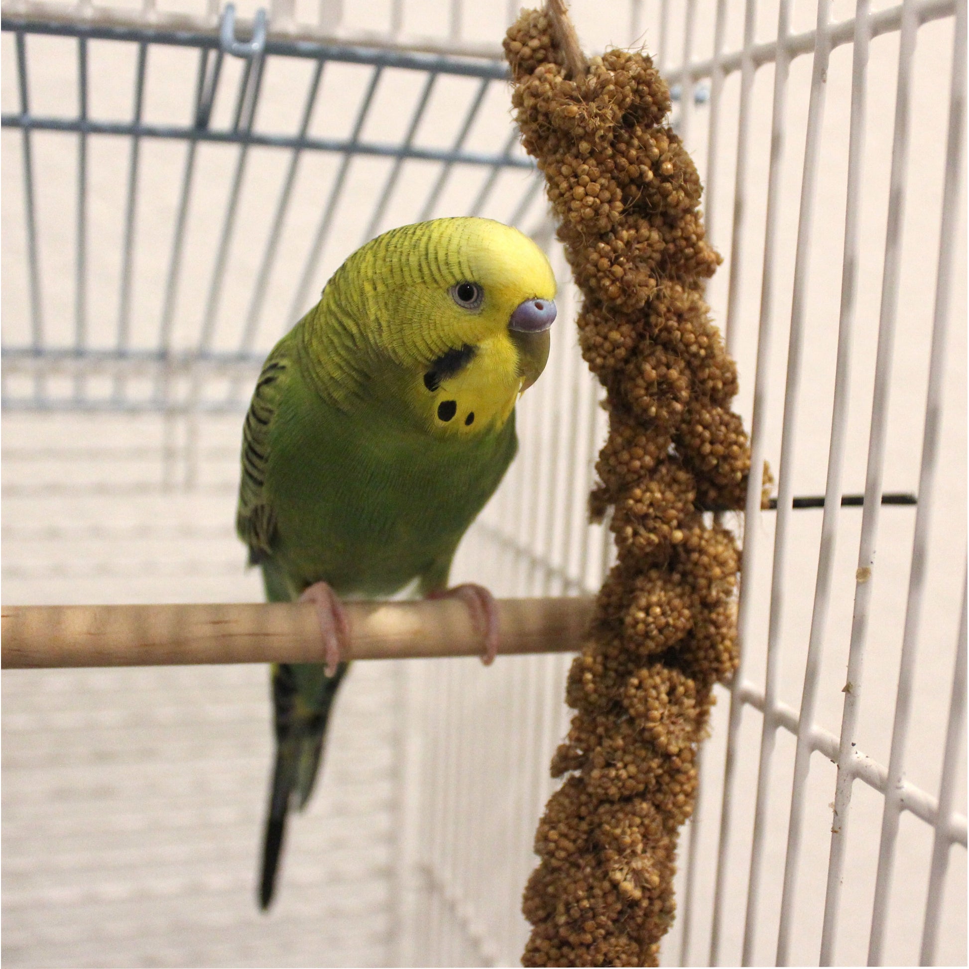 5-410601-d.jpg