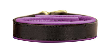 5-422371-purp.jpg