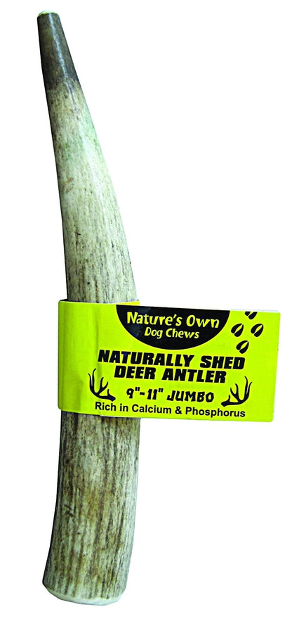 Natures Own Pet Chews Deer Antler - Jumbo 10-11