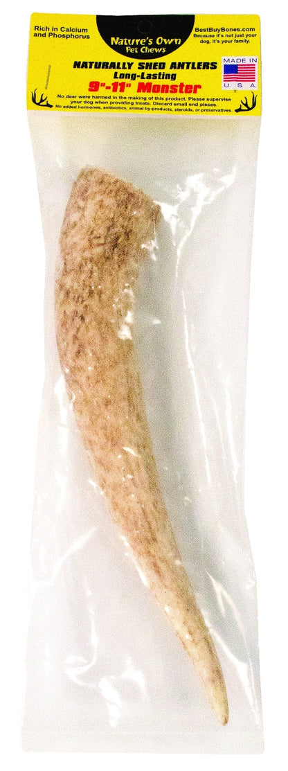 5-460257.jpg