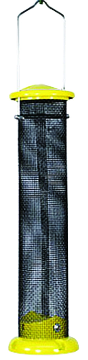 5-505798.jpg