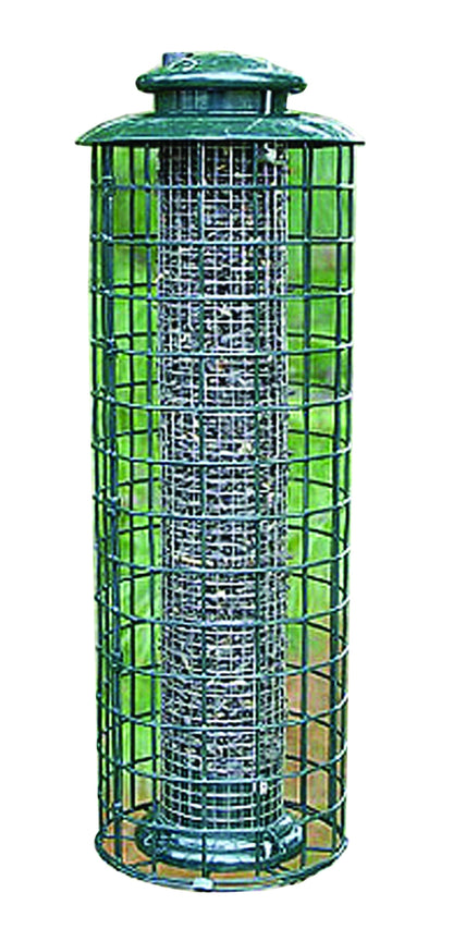5-505802.jpg