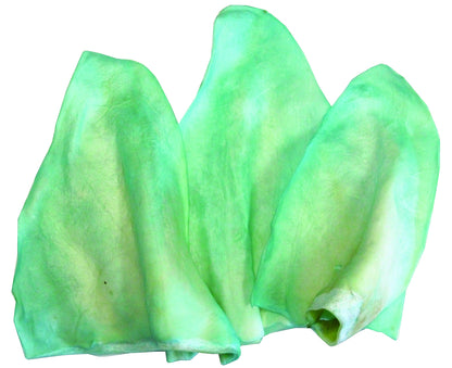 5-505865.jpg