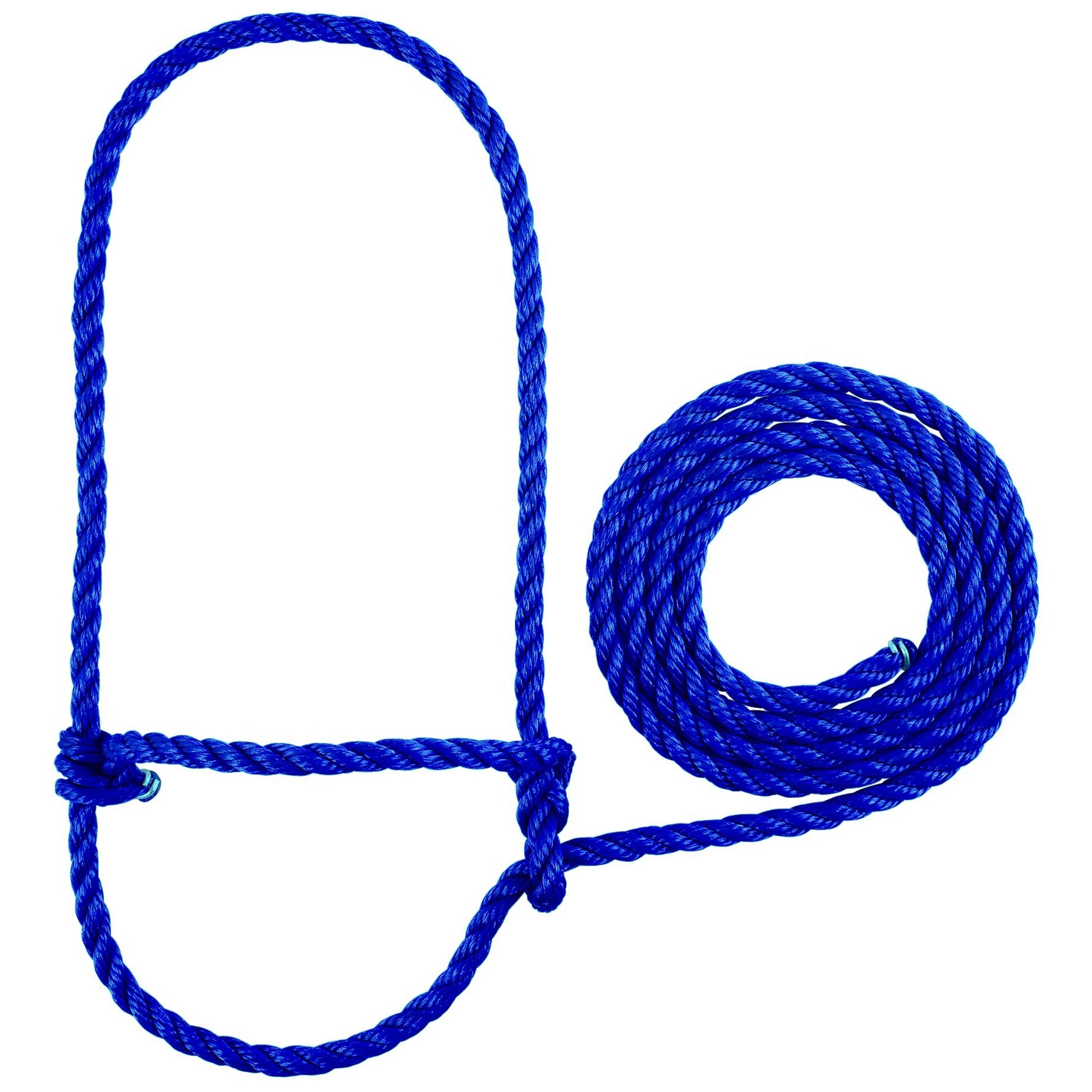 5-562477.jpg