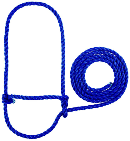 5-562477.jpg