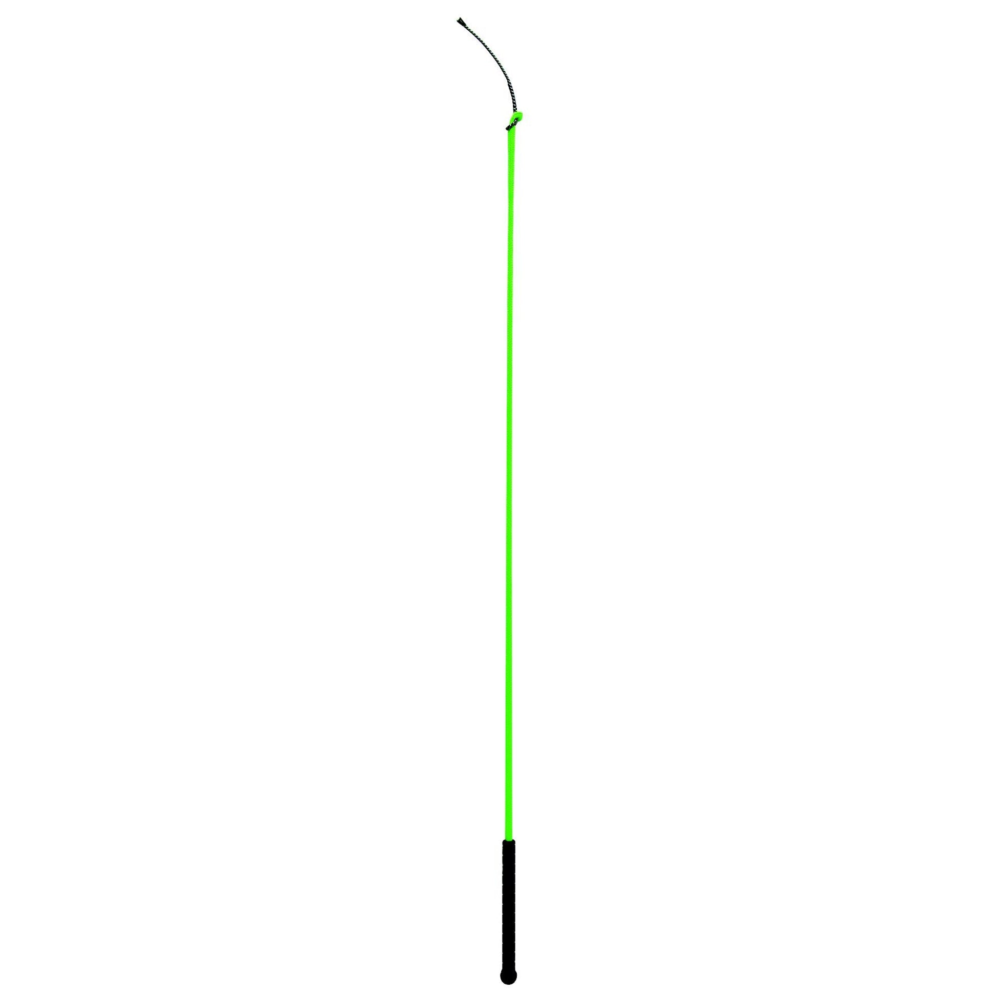5-562937.jpg