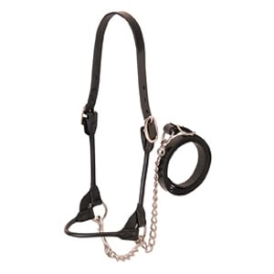Dairy Beef Rounded Show Halter