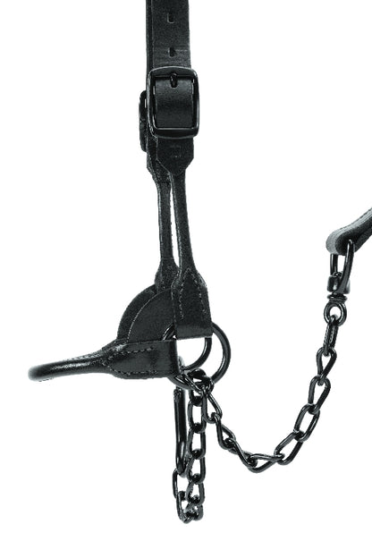 Weaver Leather Black Magic Show Halter