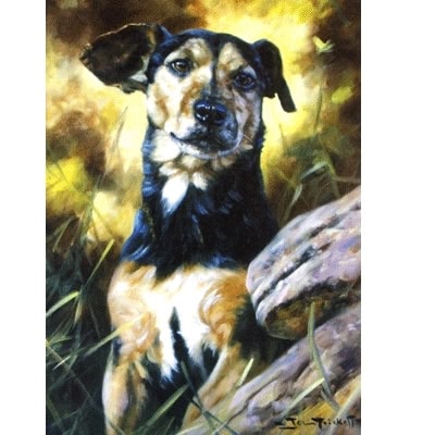 I Want to Play (Jack Russell) Blank Greeting Cards - 6 Pack