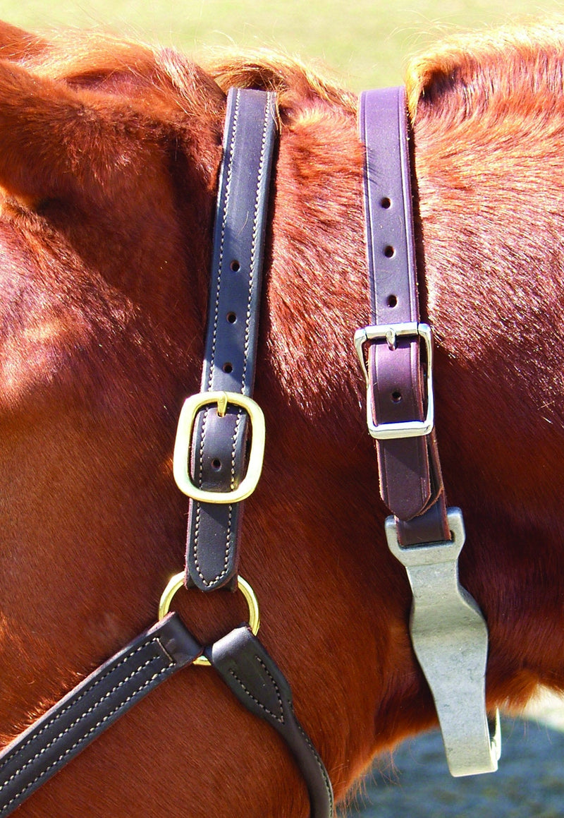 Thornhill Nutcracker/Leather Crib Strap