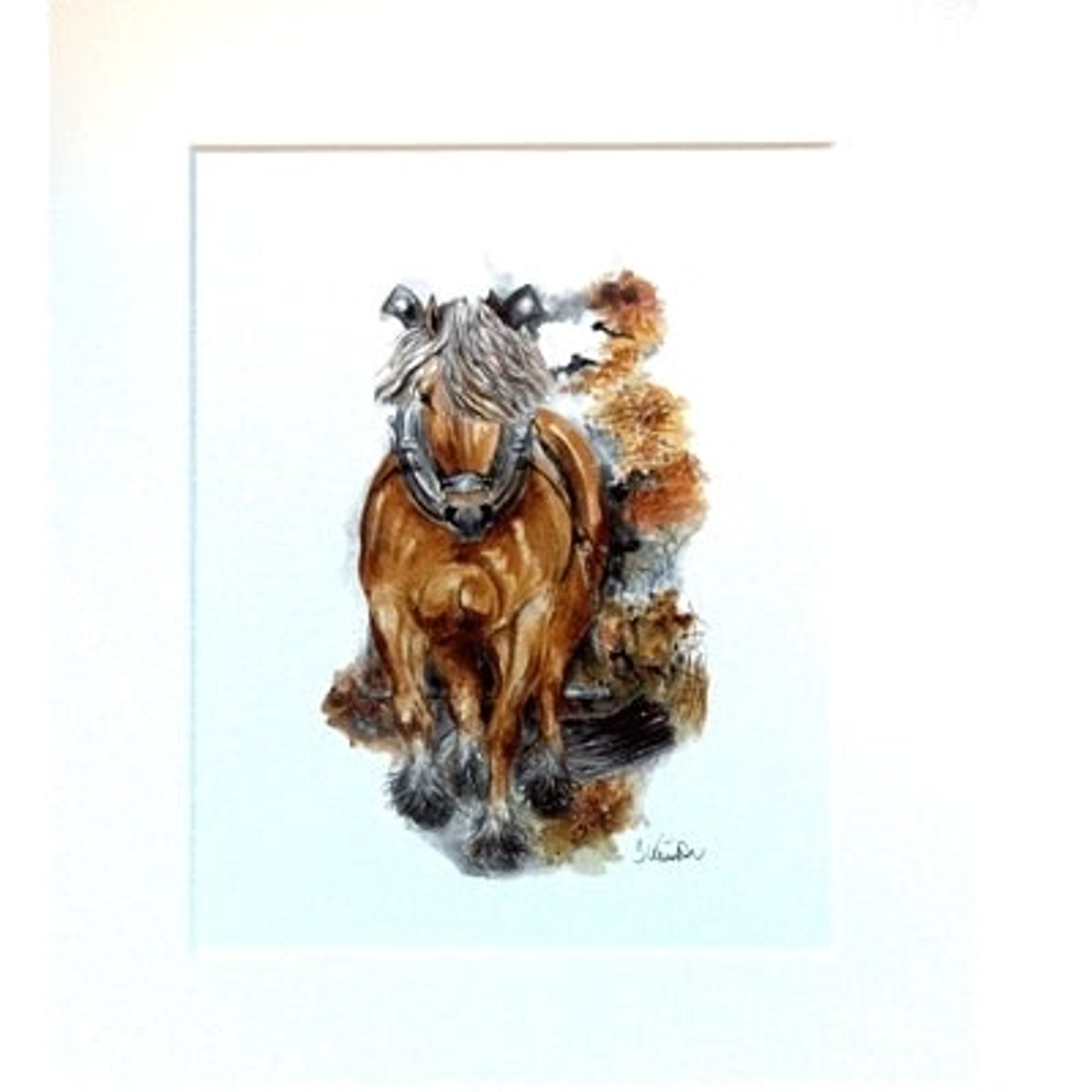 Balduin (Haflinger) By Jan Kunster, Matted