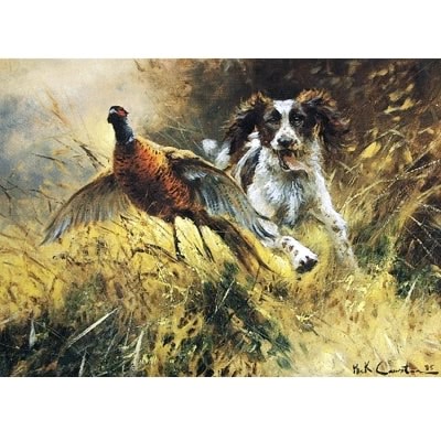 A Near Miss (English Springer) Blank Greeting Cards - 6 Pack