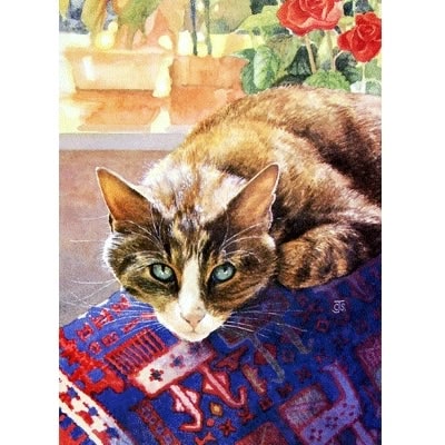 Pensive Blank Greeting Cards - 6 Pack